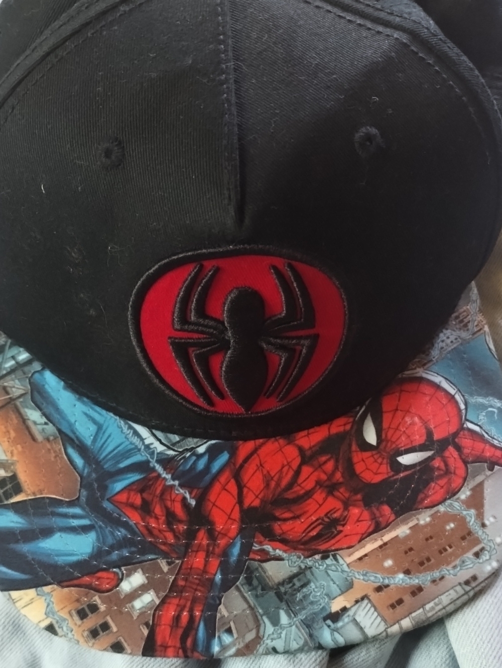 Men's Black & Red Spider Logo Cap